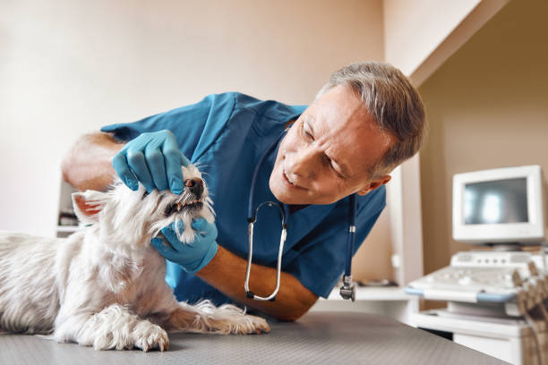 Emergency Dentist Open Today in MO